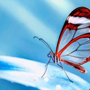 Anthropic Launches Project Glasswing for AI-Driven Vulnerability Detection