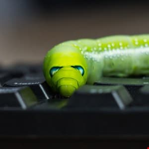 Shai-Hulud-Like Worm Targets AI Tools Through npm Packages
