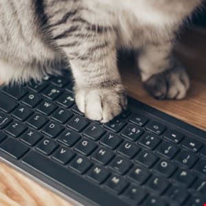BadPaw Malware Campaign Targets Ukraine