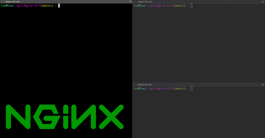 Critical 18-Year-Old Flaw Discovered in NGINX Rewrite Module