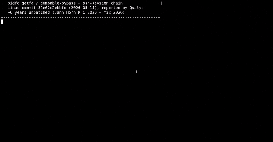 Nine-Year-Old Linux Kernel Vulnerability Disclosed