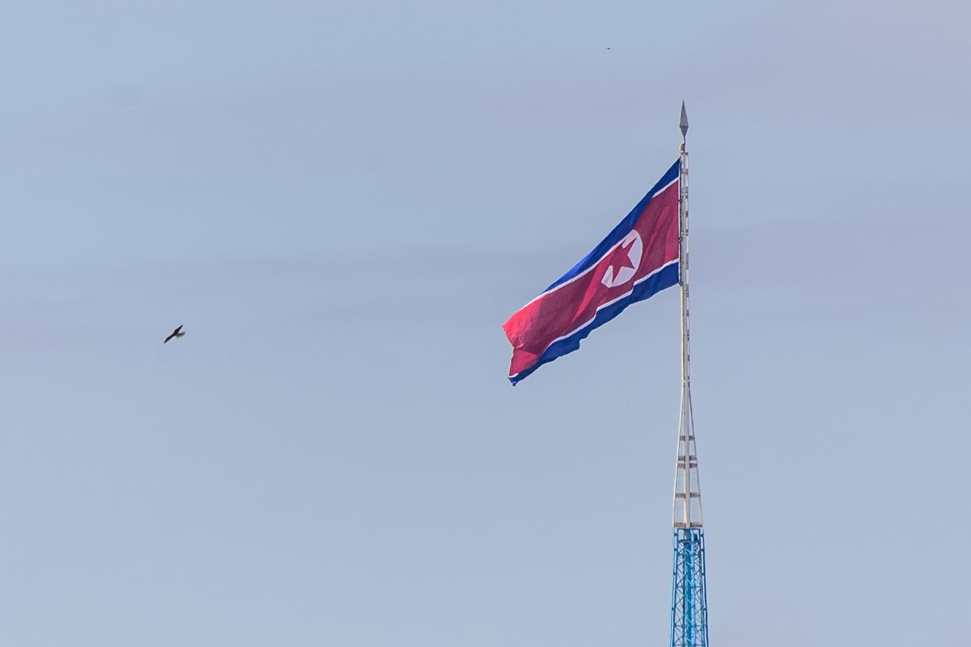 Lazarus Group, Linked to North Korea, Deceives Developers with Malicious npm Packages