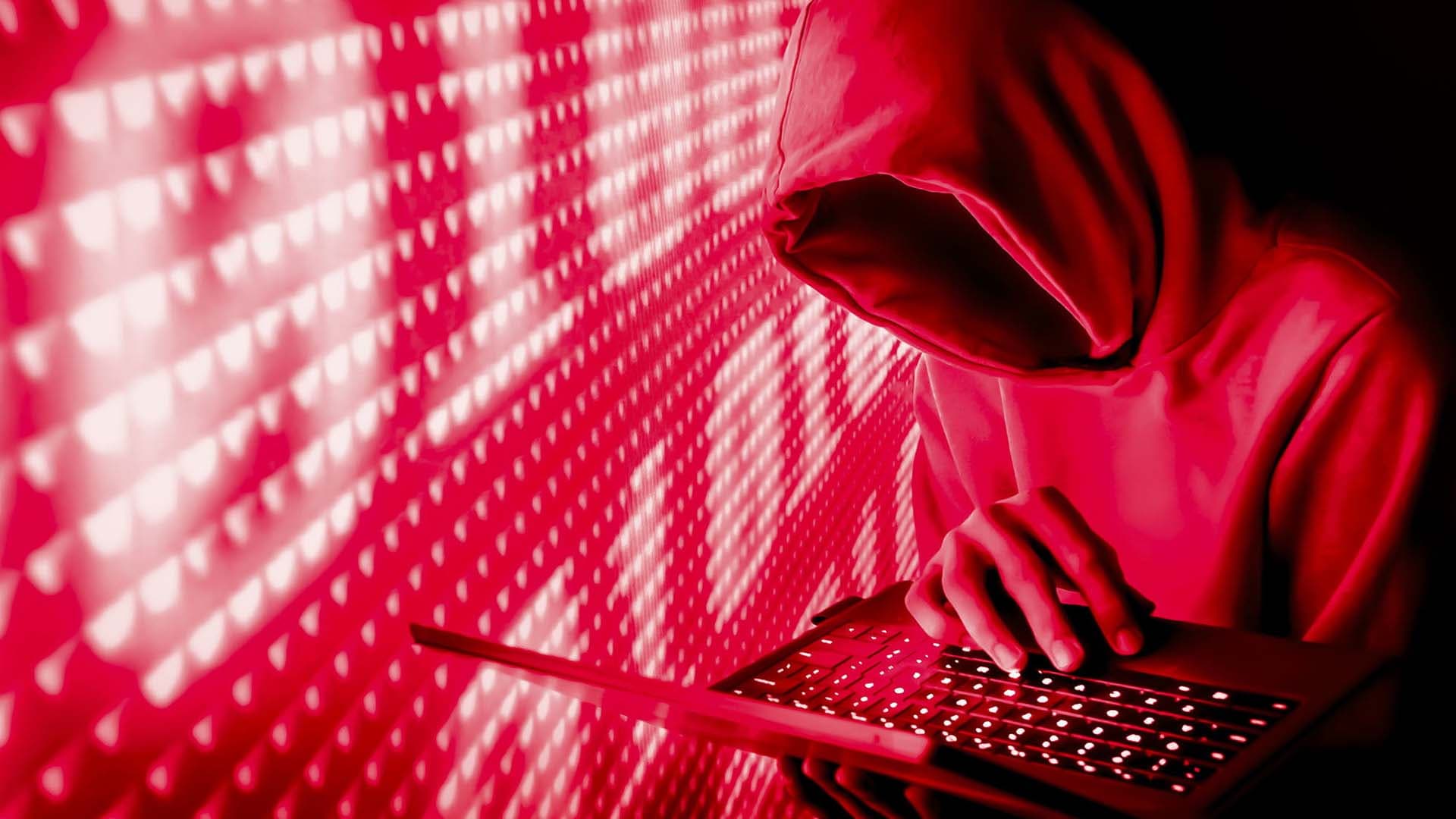 Trust in the Digital World and the Risks of Unintentionally Feeding Botnets