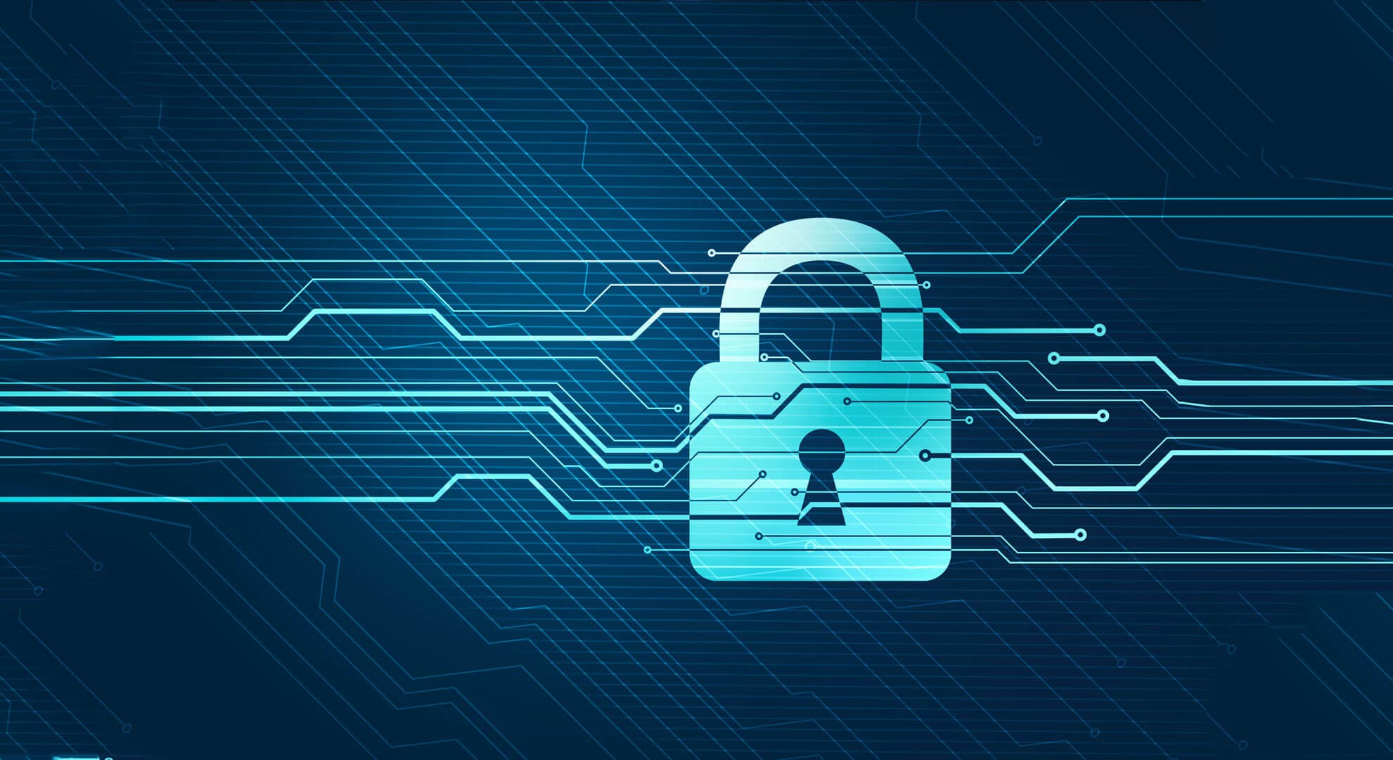 Privacy Protection in Business: A Strategic Pillar of Cybersecurity