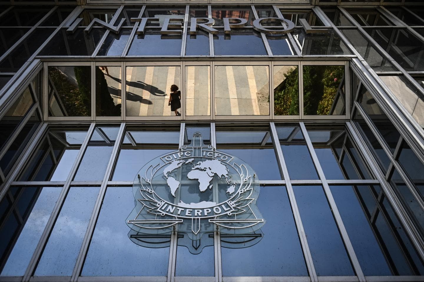 Significant Increase in Online Fraud Alerts in West and East Africa, According to Interpol