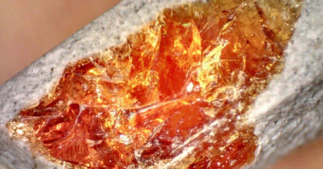Paleontologists Hope Synthetic Amber Will Shed Light on Prehistoric Fossilization