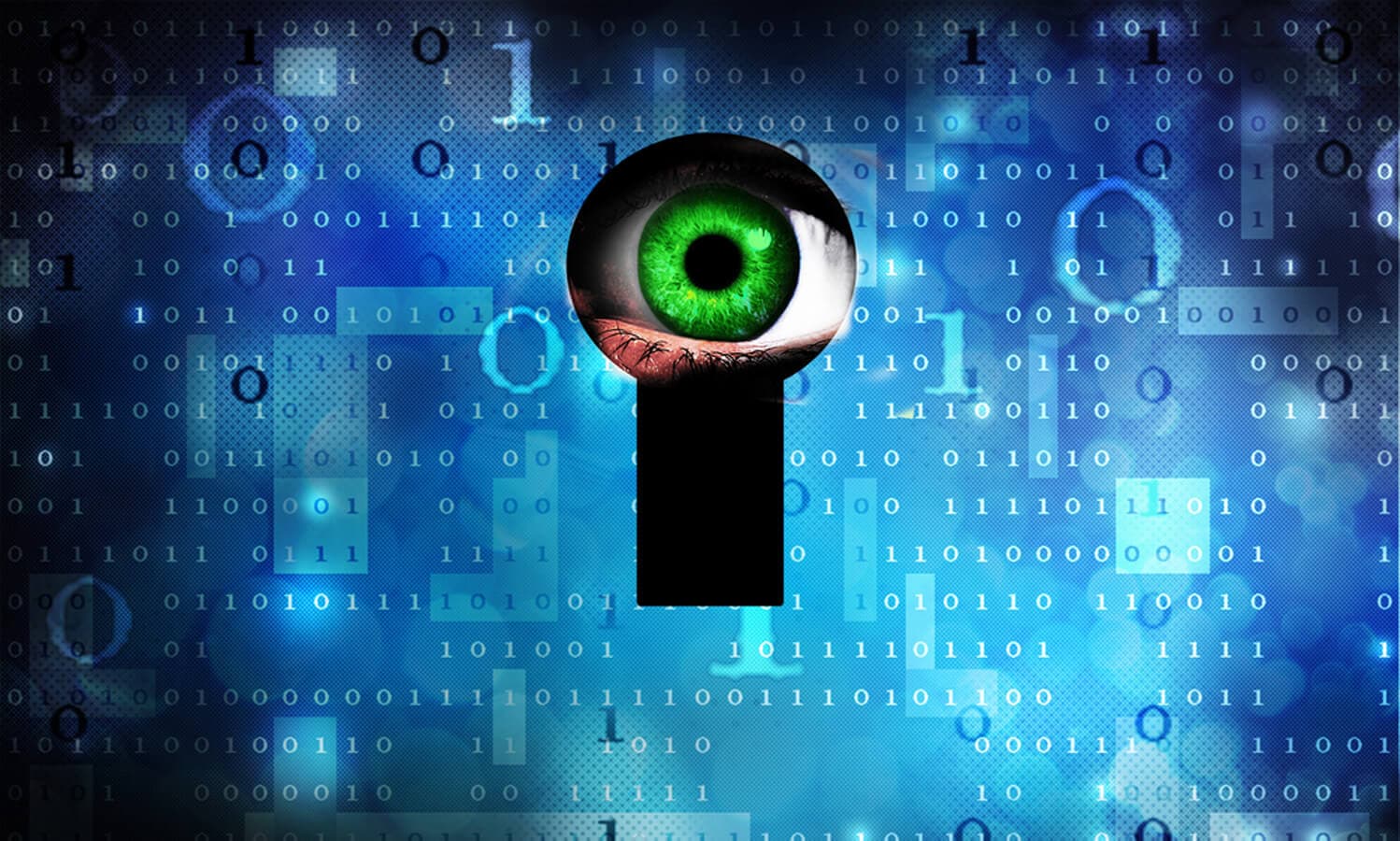 DanaBot Malware Operators Exposed and Arrested Due to C2 Bug