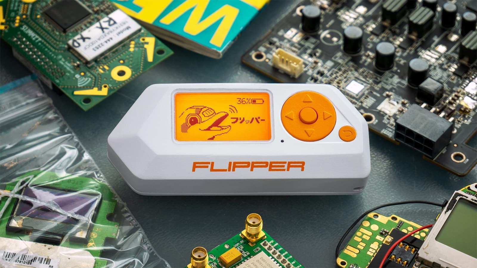 NYC Mayoral Inauguration Bans Flipper Zero and Raspberry Pi Devices