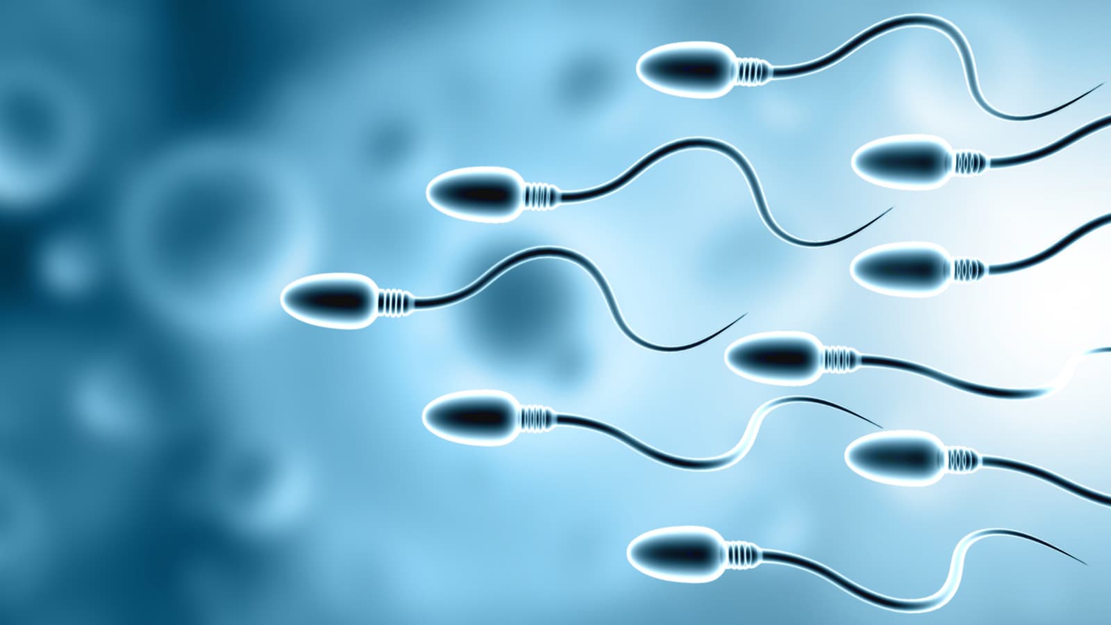 Sperm Donation Company California Cryobank Warns of Data Breach