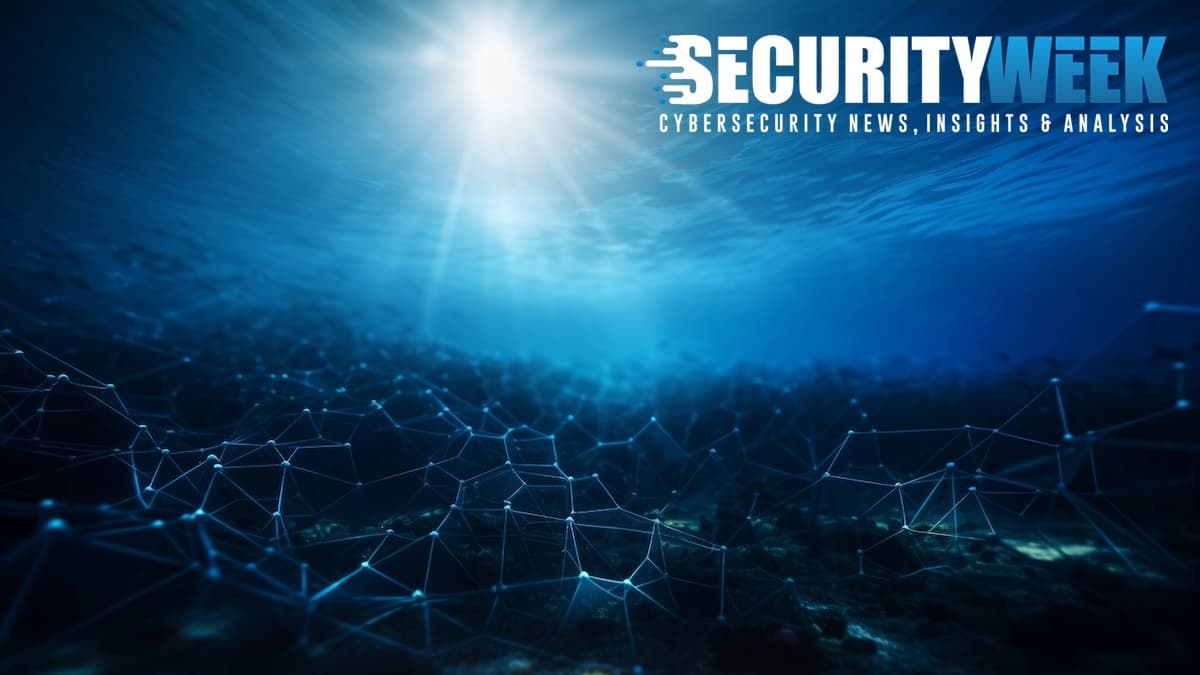 Kelley Misata Highlights the Importance of Customized Cybersecurity Solutions for Nonprofits