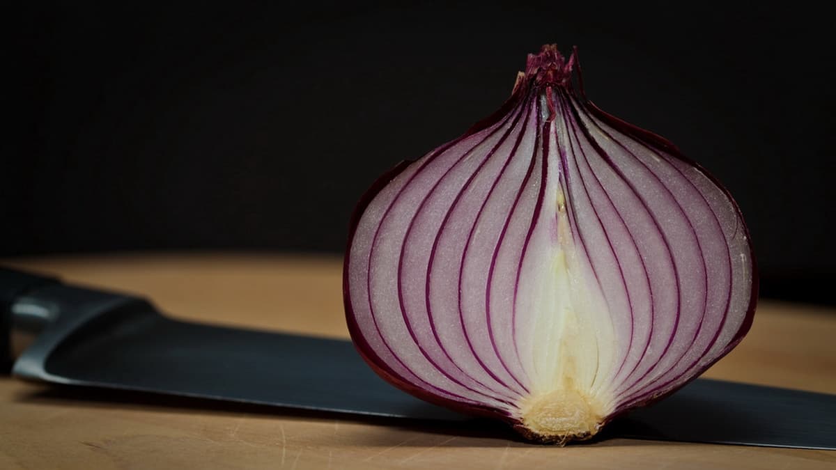 Tor Developers Announce Oniux: A New Tool for Anonymizing Linux Applications