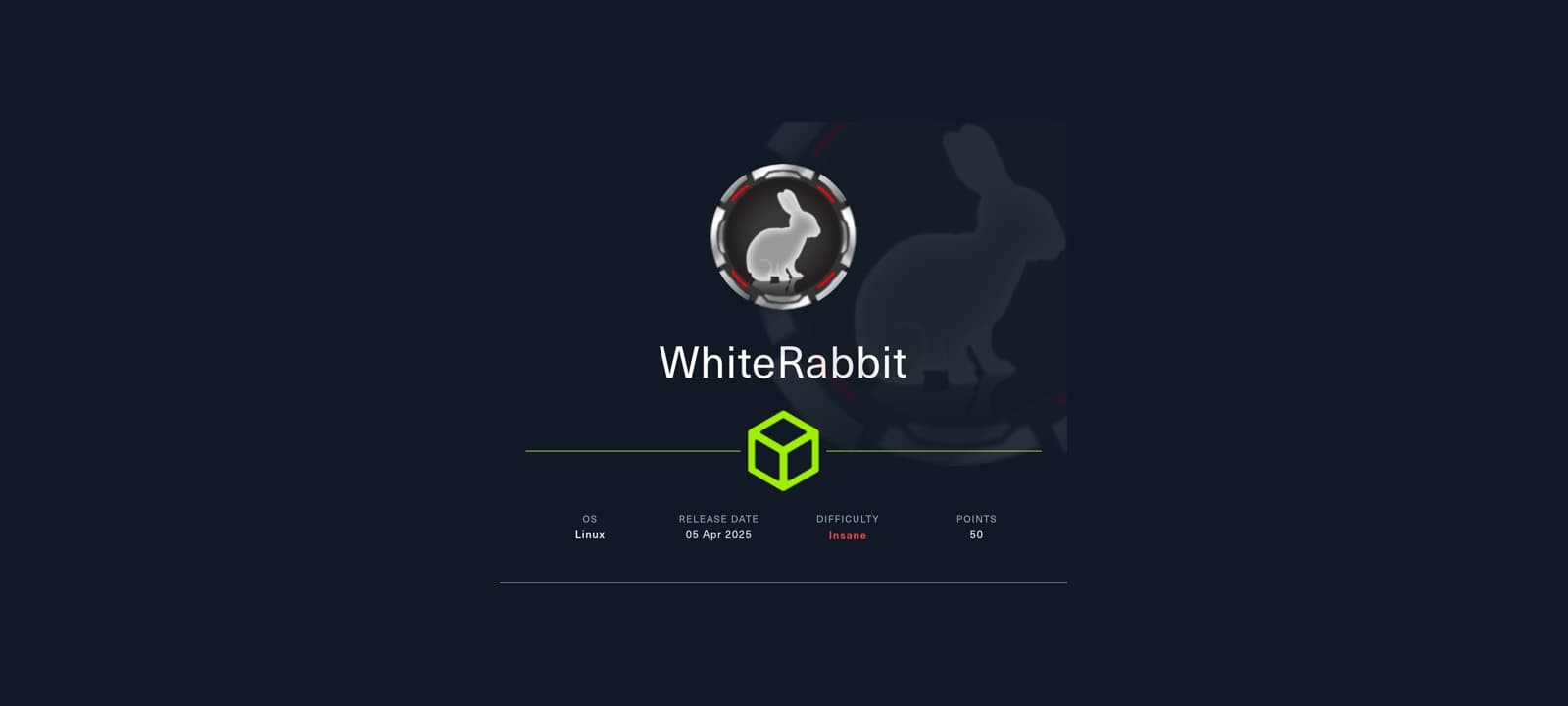 WhiteRabbit HTB Machine Walkthrough Reveals Multi-Stage Attack Chain